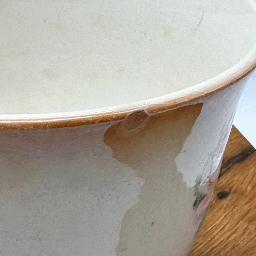Wellsville China Co‎ Ohio Large Cup and Saucer